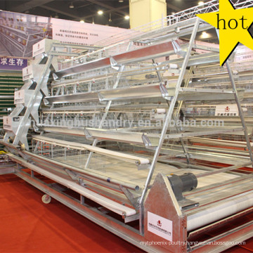 Battery poultry layer chicken cage system for Algeria